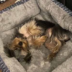 Meet your Posher, 卓悦